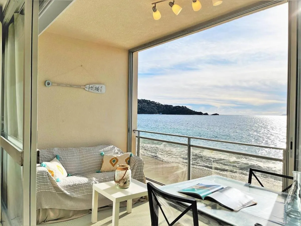 Appartement En Bord De Mer 2 Pieces - 5 Couchages - Le Lavandou - Fr-1-251-430 Apartment