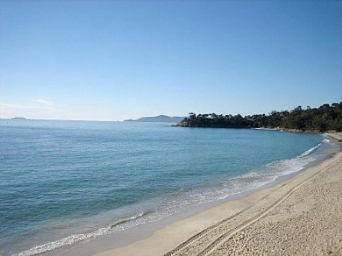 Appartement En Bord De Mer 2 Pieces - 5 Couchages - Le Lavandou - Fr-1-251-430